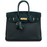 Limited Edition Vert Cypres Shiny Niloticus Lizard and Vert Rousseau Togo Touch Birkin 25 Gold Hardware, 2023