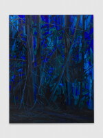 Trees and Night