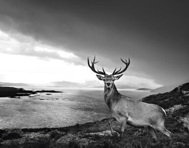View full screen - View 1 of Lot 1. DAVID YARROW | OVER THE SEA TO SKYE, 2017.