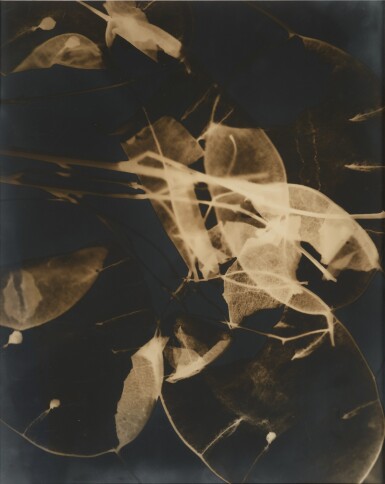 View full screen - View 1 of Lot 404. No Title.