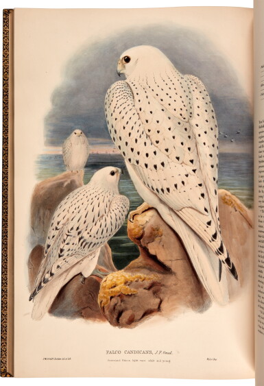 View full screen - View 1 of Lot 39. John Gould | The birds of Great Britain. London, 1862 1873, 5 volumes, one of the greatest works of British ornithology.