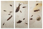 Multi-Fish Triptych Mural