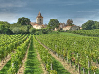 View full screen - View 1 of Lot 686. St. Julien Grand Cru Classé Mixed Case 2000-2010 (12 BT).
