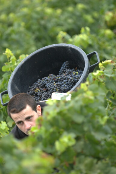 View full screen - View 1 of Lot 996. Château Larmande 2005 (12 BT).