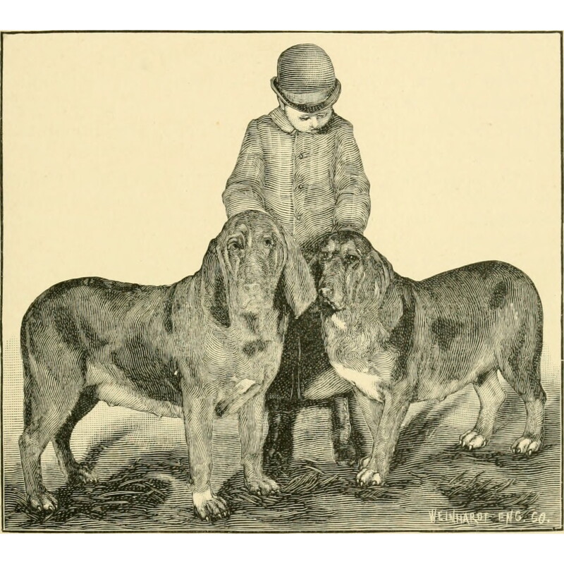 Cover image 0
