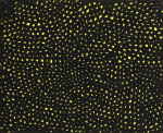 Yayoi Kusama 草間彌生 | Nets 19 網 19號