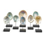 A collection of eight assorted Abalone shells, early 20th century