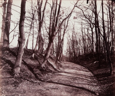 View full screen - View 1 of Lot 15. Parc de Saint-Cloud (path).
