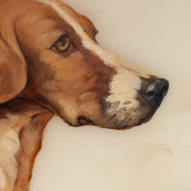Cover image 0