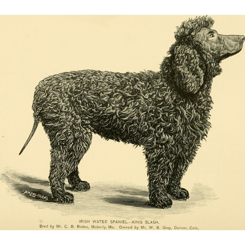 Cover image 0