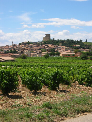 View full screen - View 1 of Lot 251. Châteauneuf du Pape, Domaine du Pégau, Cuvée da Capo 2007 (12 BT).
