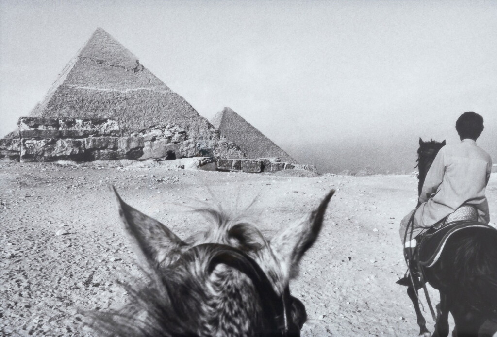 View full screen - View 1 of Lot 35. FOUAD ELKOURY | CHEVAL ET PYRAMIDE.