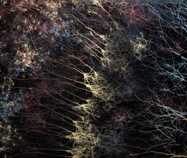 View full screen - View 1 of Lot 48. DR. GREG DUNN IN COLLABORATION WITH DR. BRIAN EDWARDS | CHAOTIC CONNECTOME, 2013.