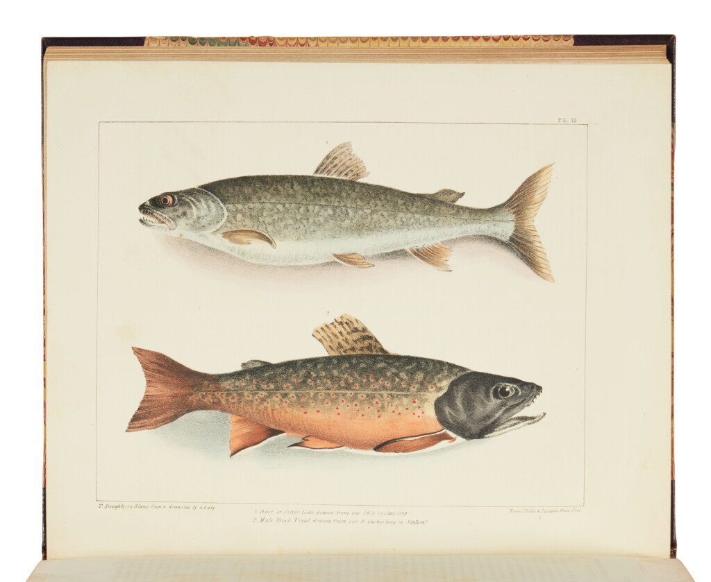 View full screen - View 1 of Lot 18. Doughty, John and Thomas Doughty | The Laird U. Park, Jr. copy of "the first colored-plate sporting book printed in America".