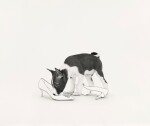 Pup with Pumps