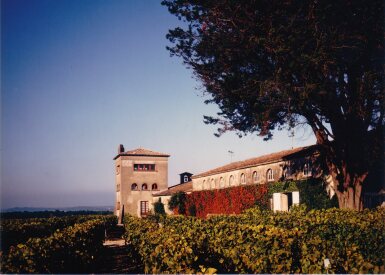 View full screen - View 1 of Lot 258. Château Rieussec 2009 (12 BT).