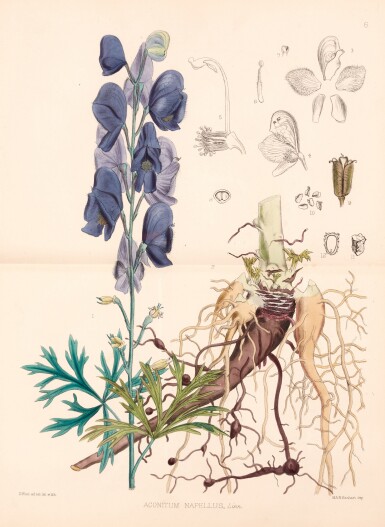 View full screen - View 1 of Lot 263. Robert Bentley and Henry Trimen | Medicinal Plants, London, 1880, 4 vols, contemporary green half morocco.