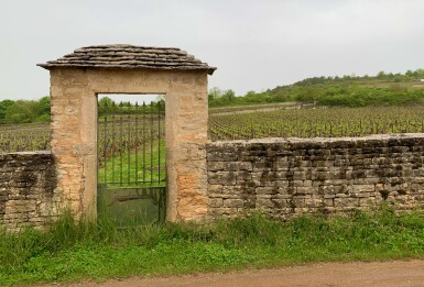 View full screen - View 1 of Lot 100. Puligny Montrachet, Clavoillon 2017 Domaine Leflaive (2 BT).