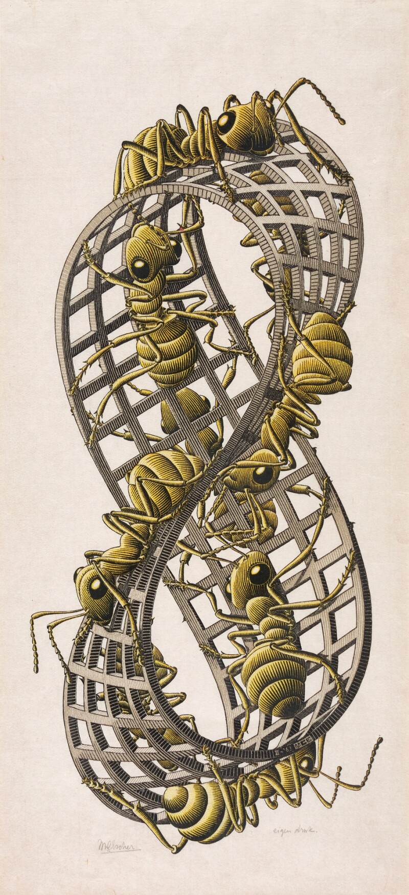 M bius Strip II Prints Multiples 2023 Sotheby s m-bius-strip-ii-prints-multiples-2023-sotheby-s