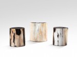 Suite de trois tables d'appoint en bois pétrifié fossilisé, travail moderne