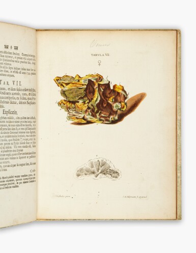 View full screen - View 1 of Lot 193. Schmidel, Casimir Christoph | First edition of Fossilivm Metalla Et Res Metallicas.