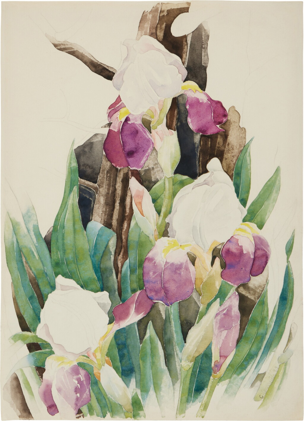 View full screen - View 1 of Lot 414. Iris.