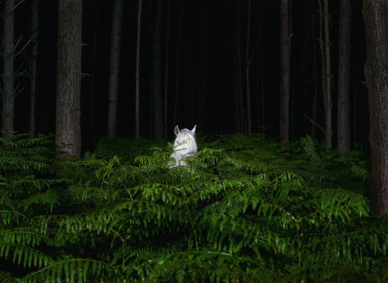 Cover image 0