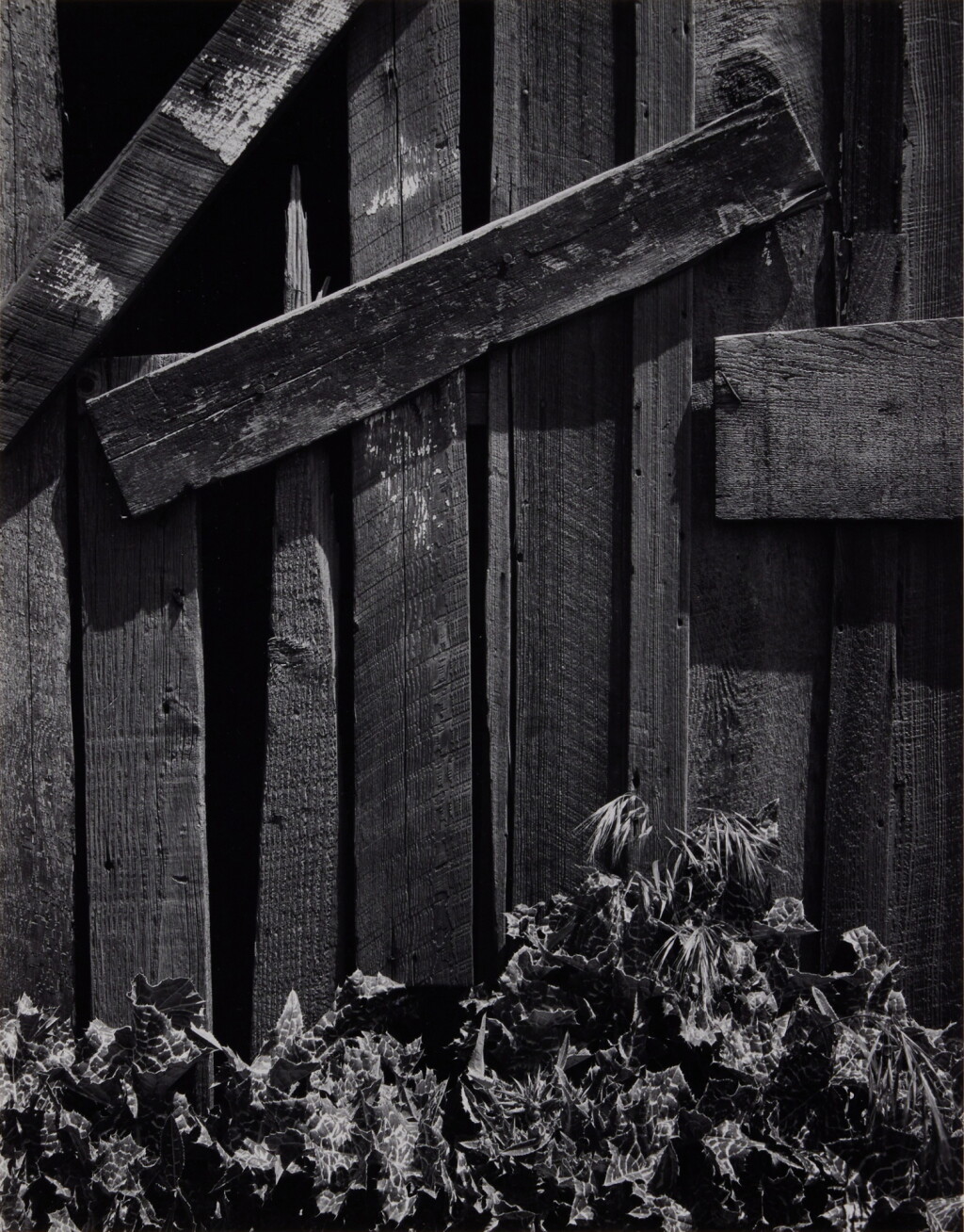 View full screen - View 1 of Lot 74. ‘Boards & Thistles, San Francisco, California’.