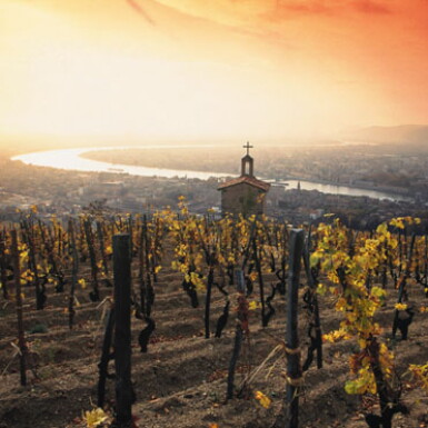 View full screen - View 1 of Lot 645. Saint Joseph, Clos Florentin 2015 Jean-Louis Chave (3 BT).