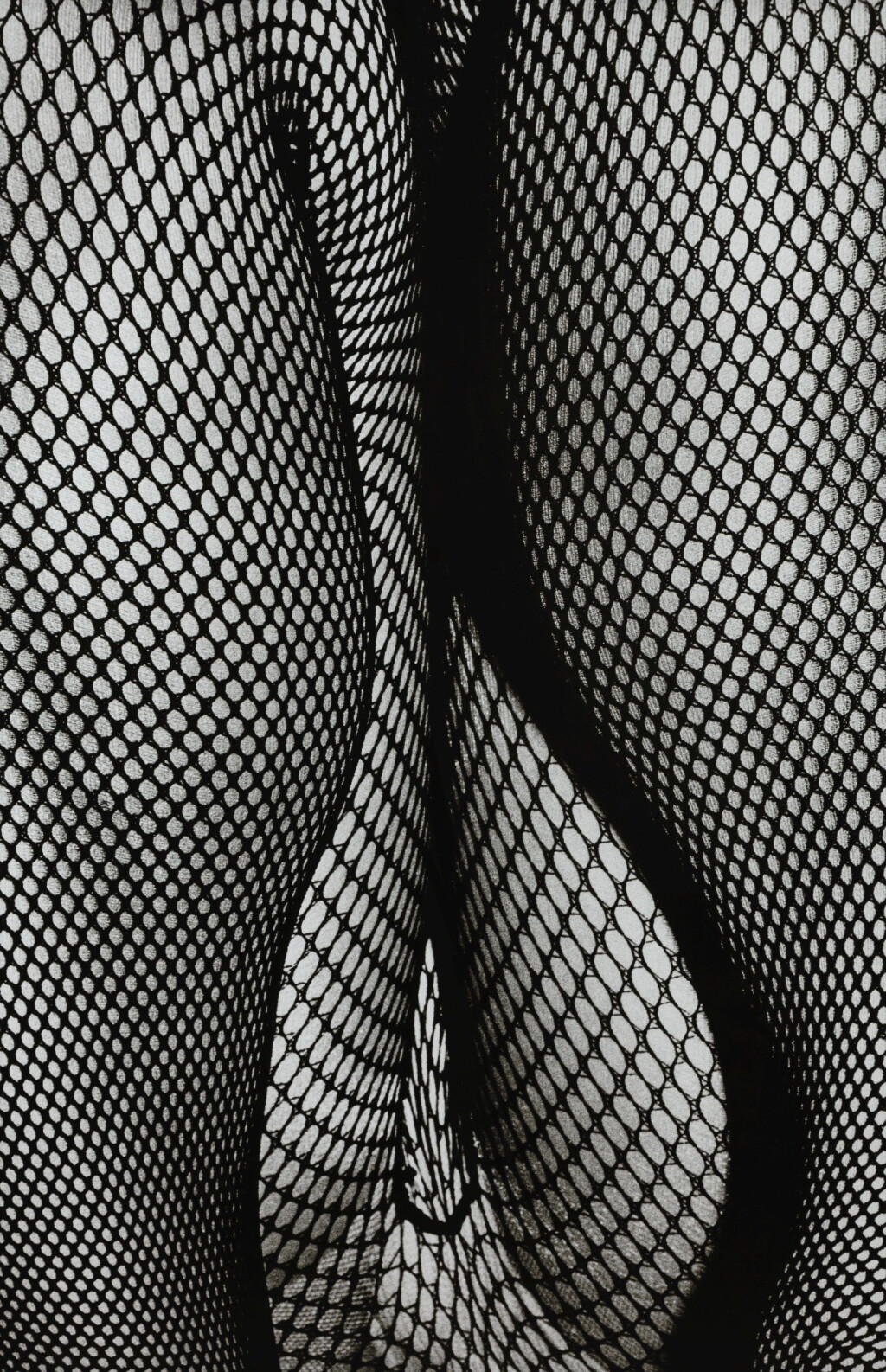 View full screen - View 1 of Lot 79. DAIDO MORIYAMA | TIGHTS, 1987.