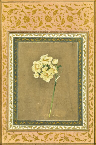 View full screen - View 1 of Lot 60. A NARCISSUS, BY MUHAMMAD MASIH, PERSIA, SAFAVID, EARLY 18TH CENTURY.