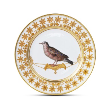 View full screen - View 1 of Lot 119. A Sèvres Plate from the Service des oiseaux des Amérique du Sud, Circa 1820.