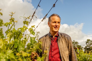 View full screen - View 1 of Lot 76. Grgich Hills Estate, Timeless: An Homage to Miljenko “Mike” Grgich, Chardonnay, Los Carneros 2024 (120 BT) .