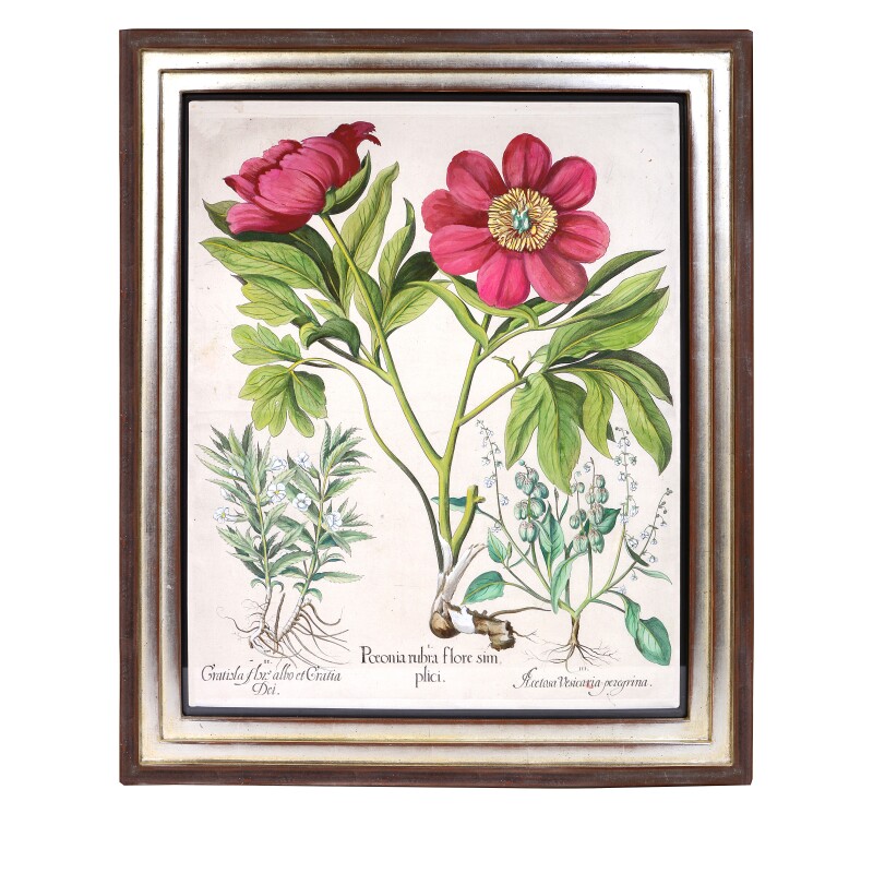 Cover image 0
