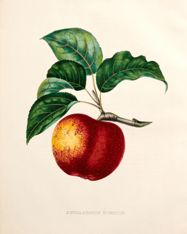 View full screen - View 1 of Lot 417. Jules de Liron d'Airoles | Album de la Civélière, 1855, the Royal dedication copy to the comte d'Chambord.