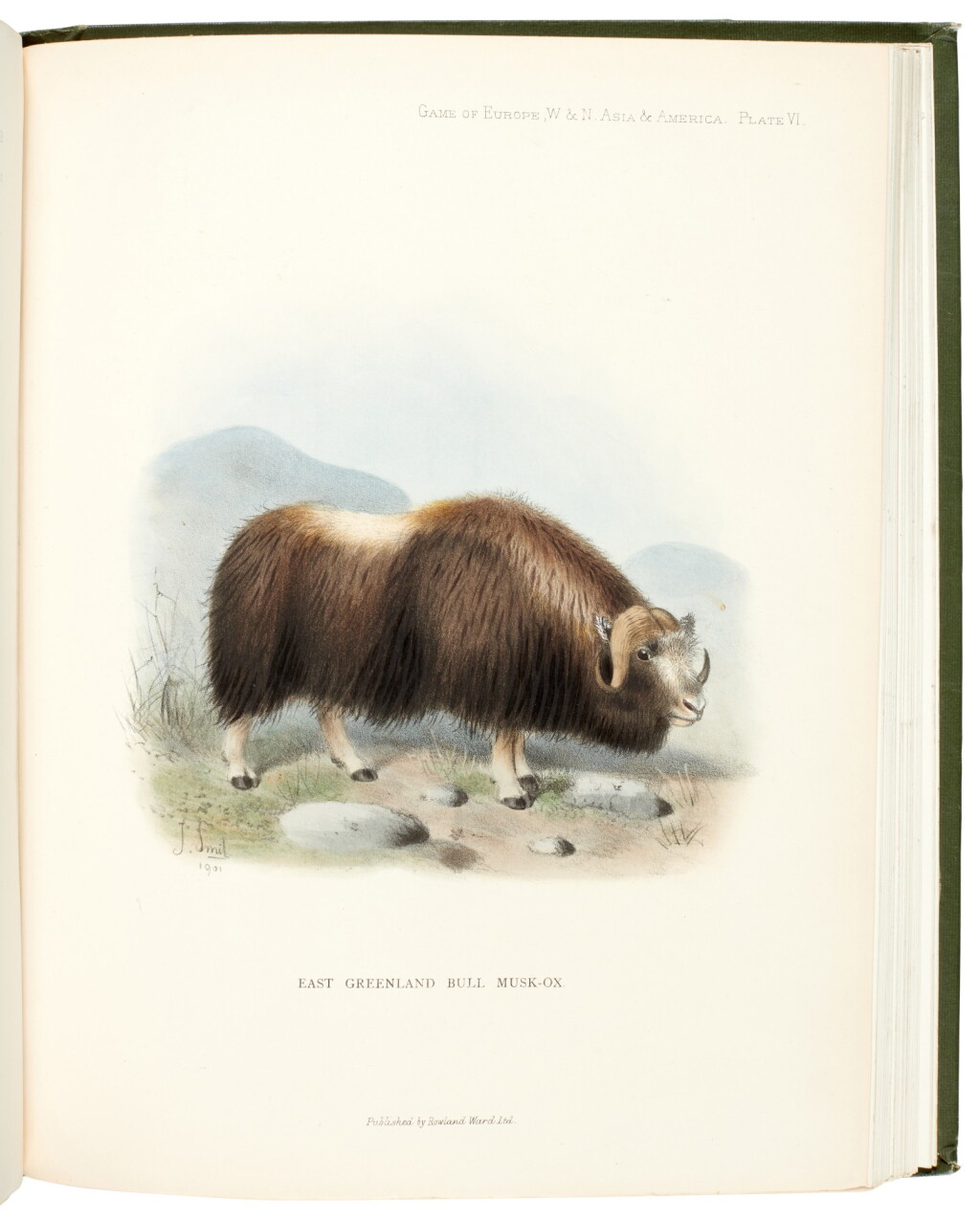 View full screen - View 1 of Lot 201. Richard Lydekker | The Great and Small Game of Europe, London, 1901, inscribed limited edition, No.158.
