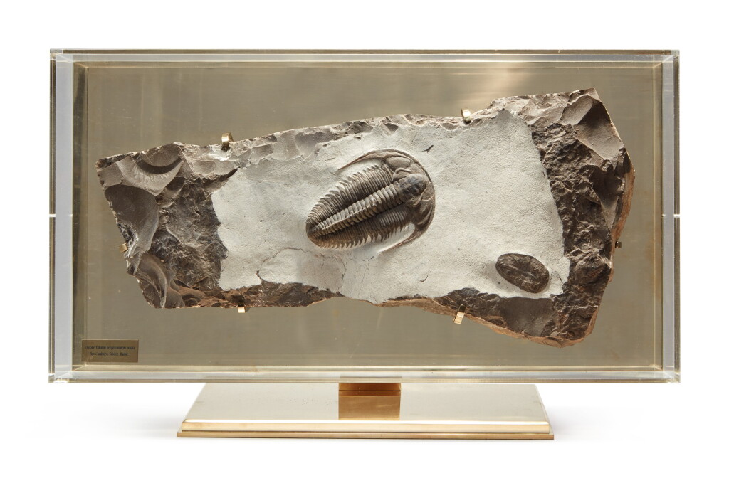 View full screen - View 1 of Lot 22. A PAIR OF TRILOBITES.