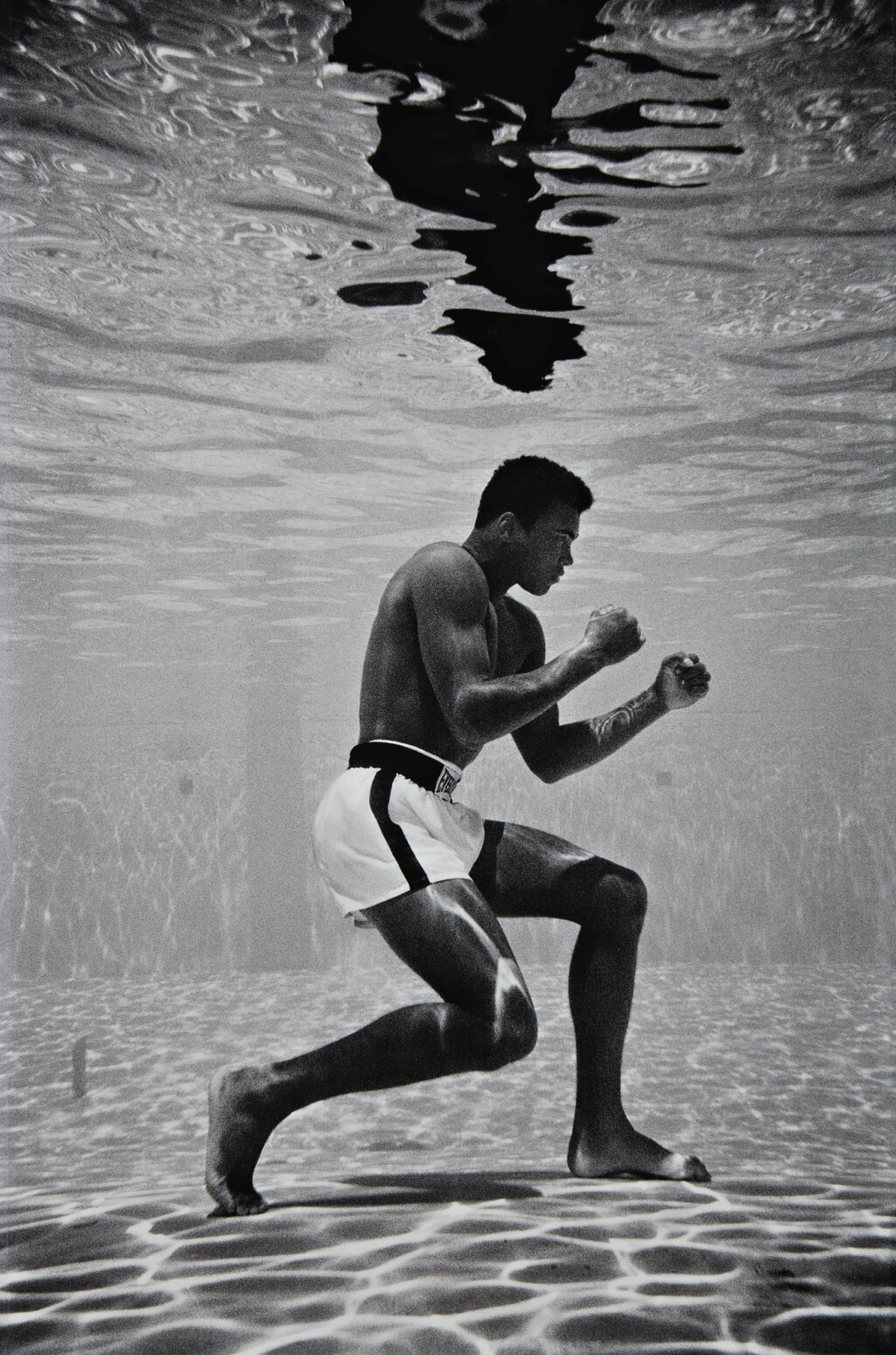 View full screen - View 1 of Lot 7. Ali Underwater.
