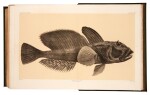 Challenger Expedition—Thomson and Murray | Report on the Scientific Results of the Voyage... during the years 1873-76..., 1880-95, first edition, 41 volumes bound in 50