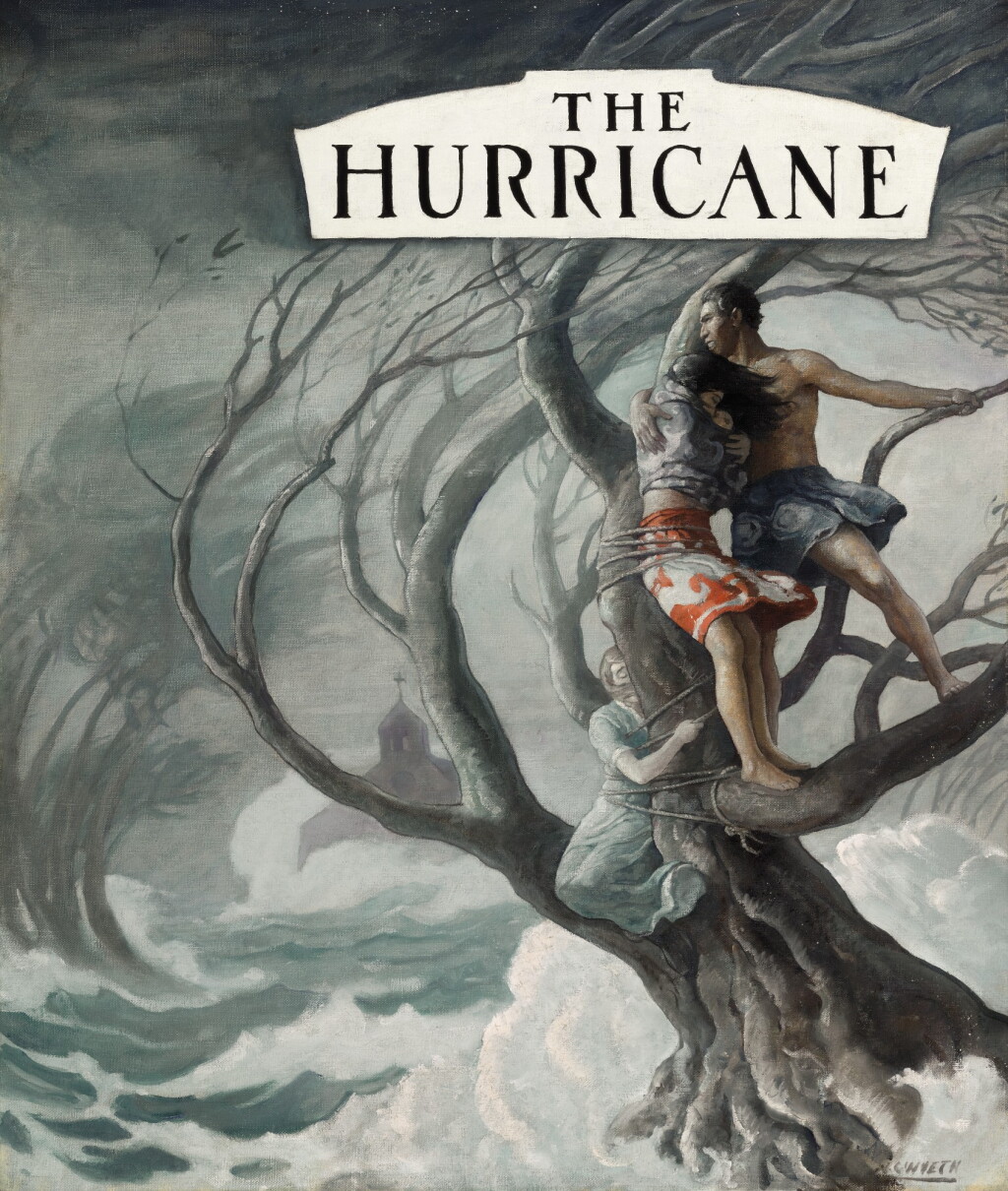 View full screen - View 1 of Lot 22. N.C. WYETH | THE HURRICANE.