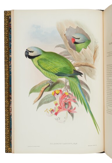 View full screen - View 1 of Lot 66. Gould, John | A monumental achievement.