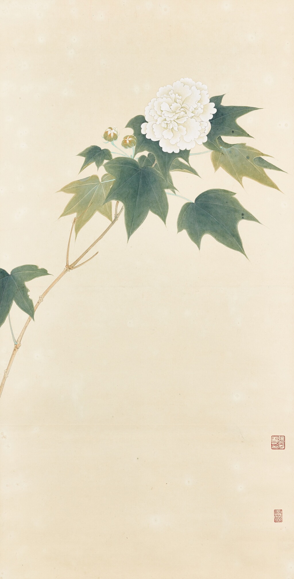 View full screen - View 1 of Lot 8030. 張大千 白芙蓉 | Chang Dai-chien, White Hibiscus.