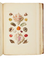 Regenfuss, Franz Michael | The most sumptuous illustrated conchological book ever published, with plates colored by the artist's wife