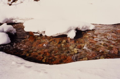 View full screen - View 1 of Lot 65. Roaring Fork River.