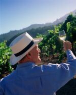 Robert Mondavi Winery | 5 Decades of Treasures (1 MAG, 3 DM, 1 IMP)