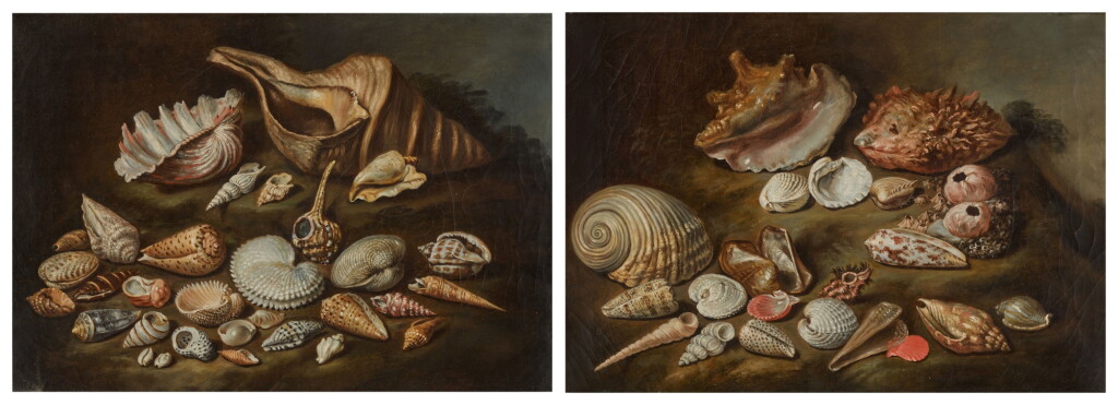 View full screen - View 1 of Lot 89. A pair of still lifes with shells .