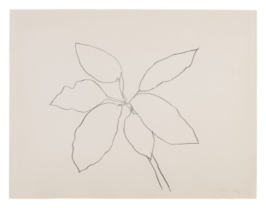 View full screen - View 1 of Lot 5. ELLSWORTH KELLY | ST. MARTIN TROPICAL PLANT (AXSOM 192).