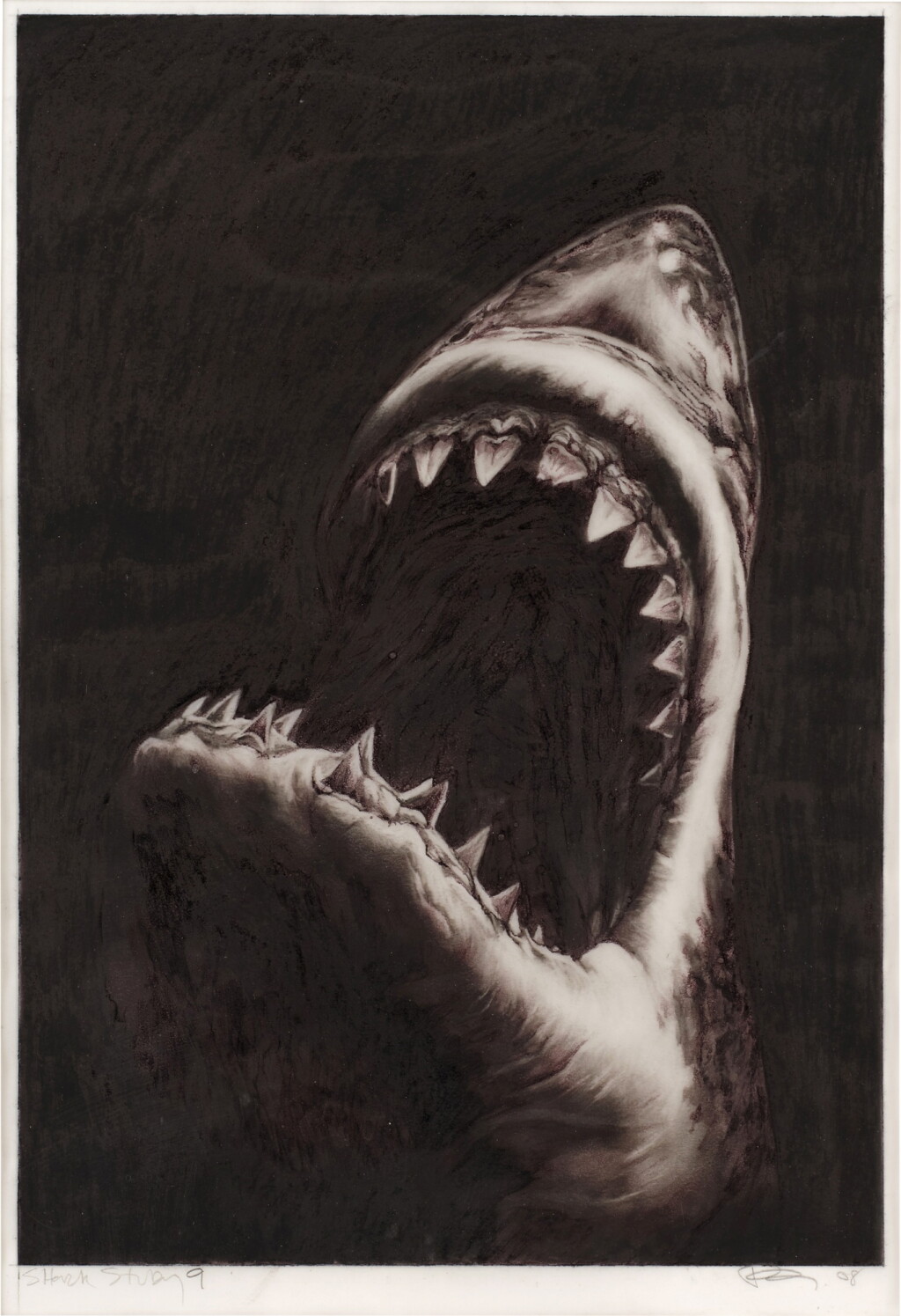 View full screen - View 1 of Lot 605. Shark Study 9.