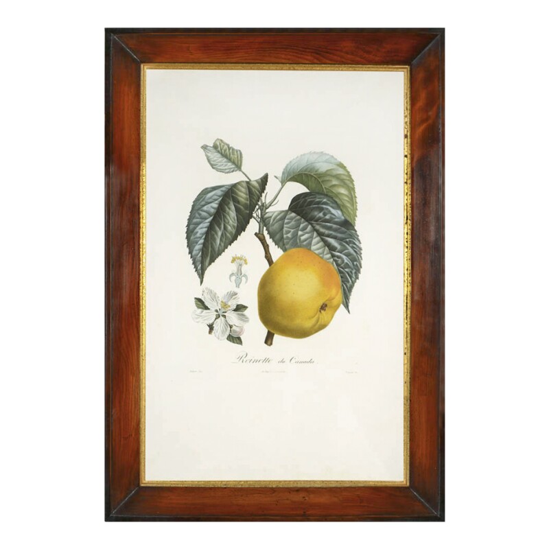 Cover image 0