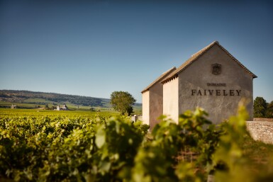 View full screen - View 1 of Lot 127. Mazis Chambertin 2016 Faiveley (6 BT).